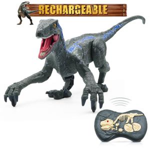 ROBOT - ANIMAL ANIMÉ Rapace gris-Jouets de dinosaure RC pour garçons, télécommande intelligente, dinosaure jurassique, animaux à m