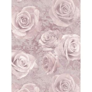 623302 /& Argent 623303 Arthouse REVERIE Papier Peint en Rose Poudré