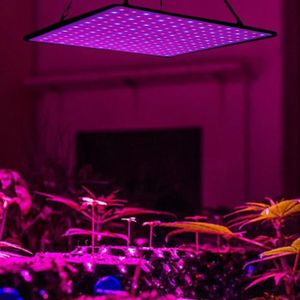 Eclairage horticole Lampe pour plantes, lampe pour plantes à spectre c