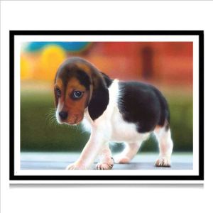 Diy 5d Broderie Diamant Kit Complet Chat Et Chien 5d Diamond Painting Complet 5d Diy Diamant Peinture D 30x40cm 1561 Achat Vente Tableau Toile Cdiscount