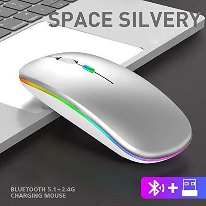 Souris sans Fil Rechargeable,Souris Bluetooth, Silencieux,3 Niveaux DPI (800-1200-1600) Lumières colorées Wireless Mouse pour