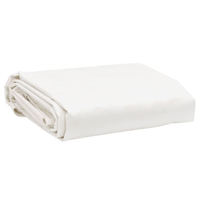 Vidaxl Bâche blanche 5x6 m 600 g/m²