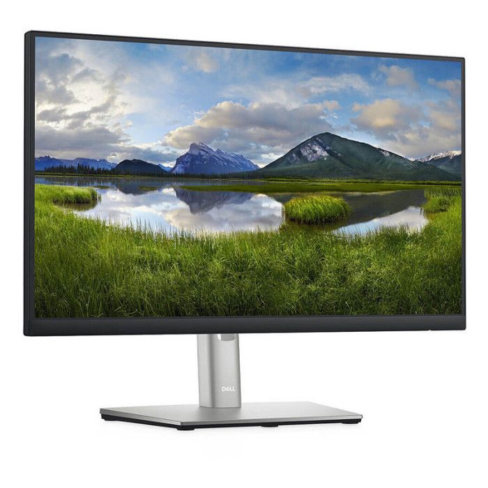 Acheter DELL FLAT PANEL P2222H 22 Reconditionné - 99,00 € DELL FLAT PANEL P2222H 22 Reconditionné - Dell reconditionné disponible sur Cdiscount Seconde Vie