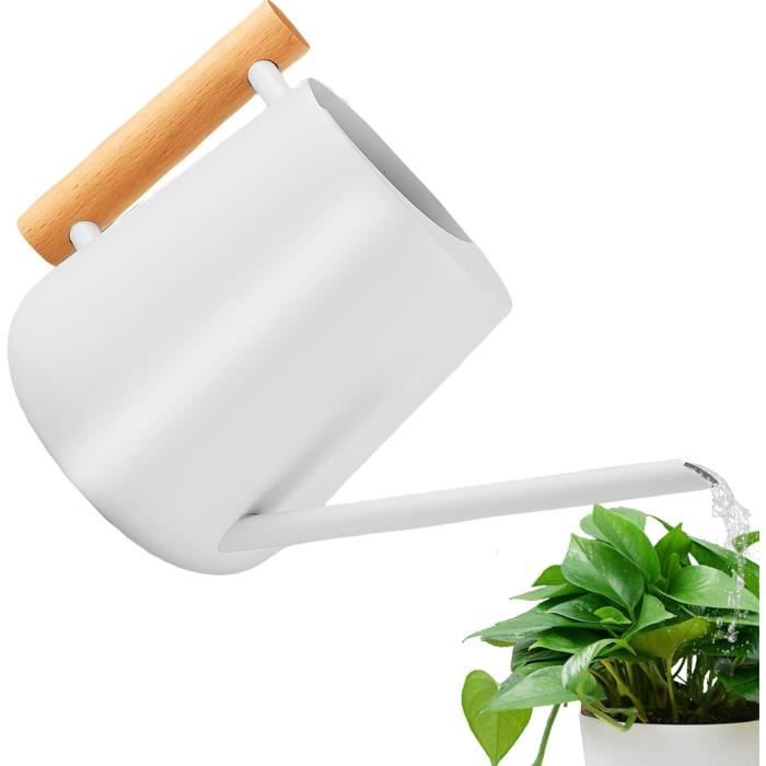 Arrosoir Intérieur 1L Noir Acier Inoxydable – Bec Long Col De Cygne & Poignée Bois – Design Minimaliste Pour Plantes & Bonsaïs
