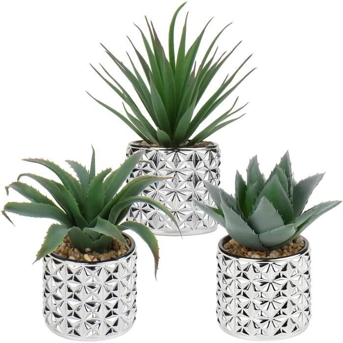 Set de 3 plantes artificielles succulentes pots et plateau en céramique