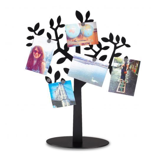 Porte photos Umbra Arbre aimanté Laurel noir Cdiscount Maison — free download