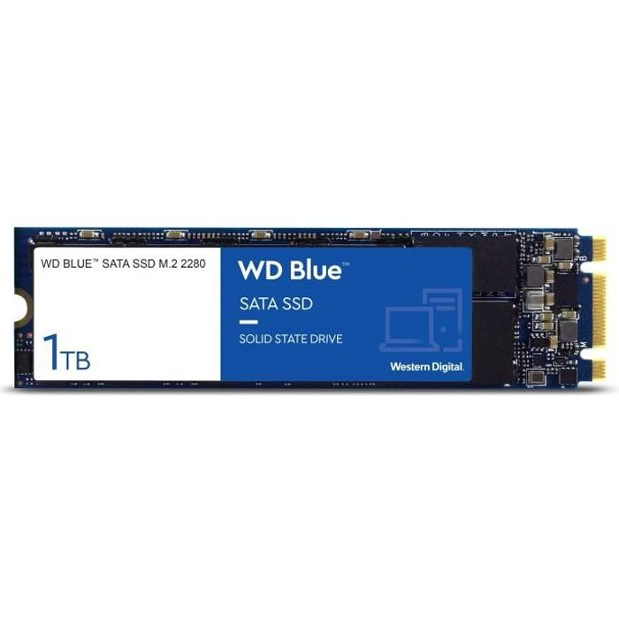 Vente Disque SSD WD Blue™ - Disque SSD Interne - 3D Nand - 1To - M.2 SATA (WDS100T2B0B) pas cher