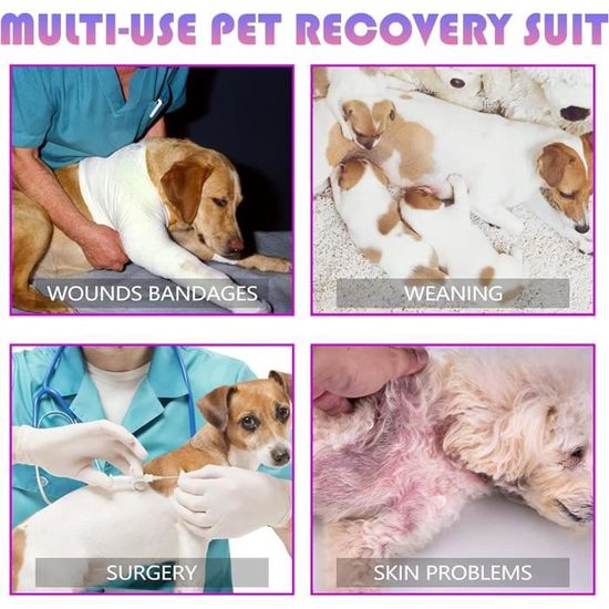 Combinaison De Récupération Pour Chien Après Chirurgie - Tissu Respirant, Scratch Dans Le Dos - Alternative à La Collerette - Taille M