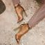 chaussure talon pointu
