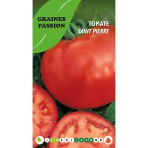 GRAINE - SEMENCE Graines passion , sachet de graines Tomate Saint P