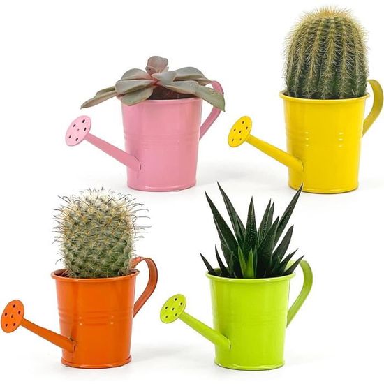 Vimin Box Lot De 4 Mini Arrosoirs Décoratifs Pour Plantes Succulentes, Petites Fleurs - Décoration Maison, Jardin, Balcon