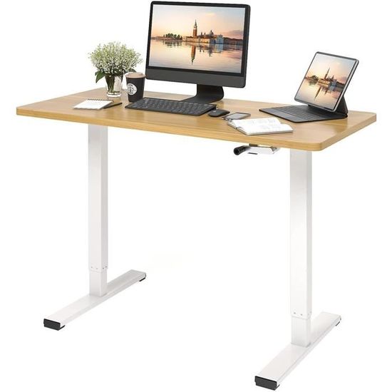 Bureau Assis-Debout Électrique FlexiSpot 120x60cm - Réglable 73.5-118cm, Charge 70kg - Cadre/Plateau Noir