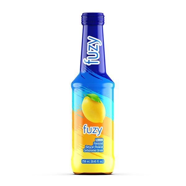 Boisson gazeuse naturelle saveur citron 250mlx6 FUZY