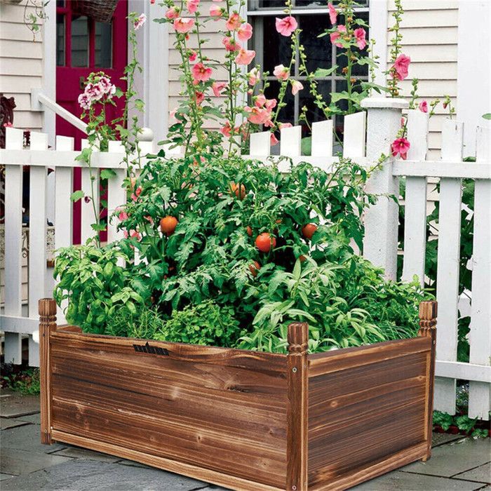 Jardinière Rectangulaire en Bois de Sapin - Bac à Fleurs avec Trous de Drainage pour Jardin Terrasse - 60x30x34cm