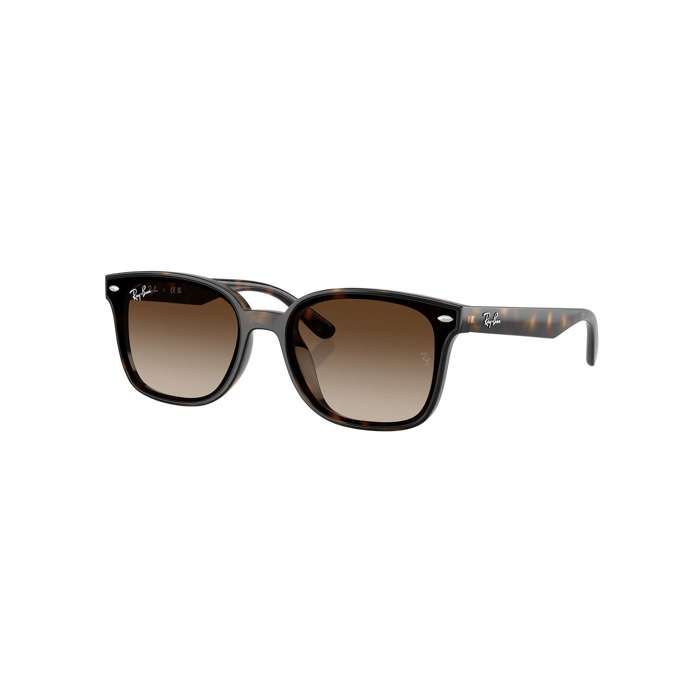 Lunettes De Soleil Rectangulaires RB4461D - Ray-Ban