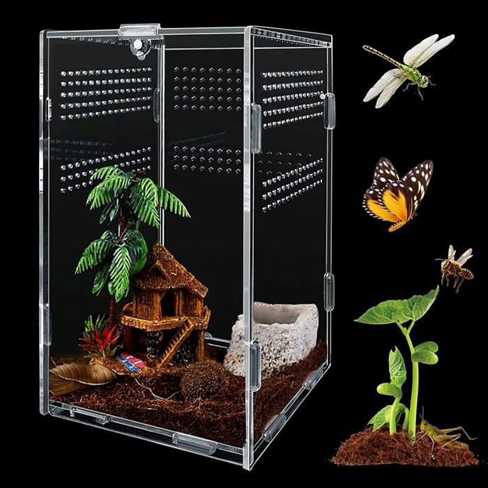 Boîte alimentation insectes 12x12x20cm Transparent Boîte élevage en Acrylique pour Reptiles avec Trous PERCHOIR