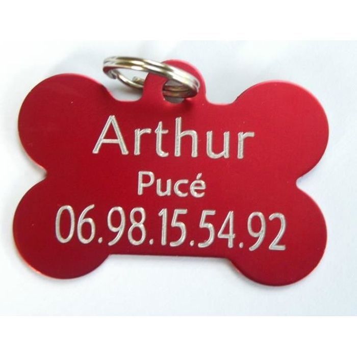 1 MÉDAILLE gravée pour chien rouge (GM)