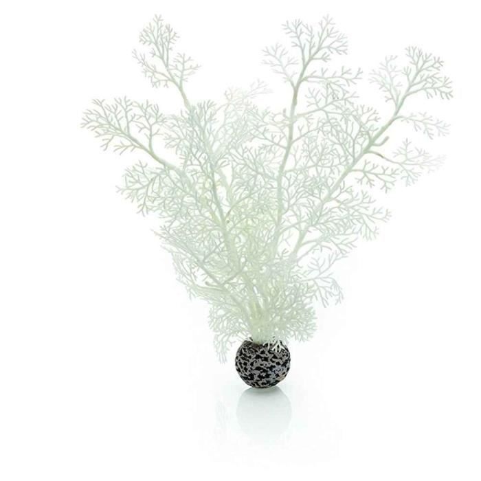 Comparer les prix de Oase - Décor Évantail de Mer Moyen Blanc pour Aquarium BiOrb