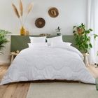 Couette Hôtel Très Chaude 220x240cm Gonflante - 500g/m2 - Enveloppe 100% coton qualité percale - BLEU CALIN