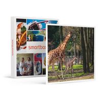 SMARTBOX - Journée zoo en duo : 2 entrées adultes pour le Safari de Peaugres - Coffret Cadeau | Journée zoo en duo : 2 entrées adult