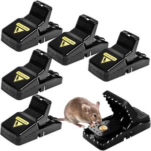 6Pcs Tapettes à Rats Réutilisable S: 11.4x5.2x5.5cm - Cdiscount Au quotidien
