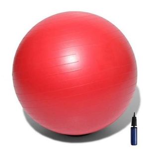 BALLON SUISSE-GYM BALL TUNTURI Ballon de gym - 65cm - Rouge