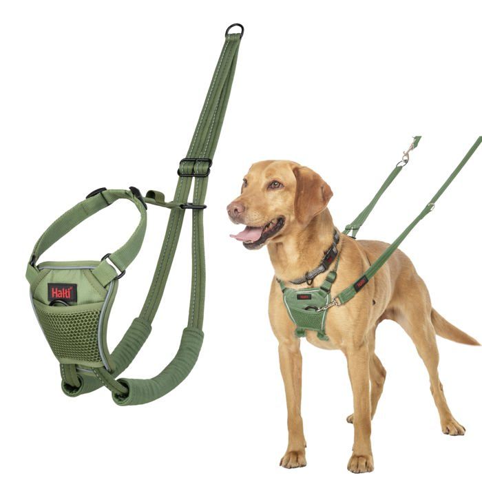 Harnais anti-traction pour chiens - Halti - Taille M - Vert Forêt - Camouflage - Sangles rembourrées - Réglable