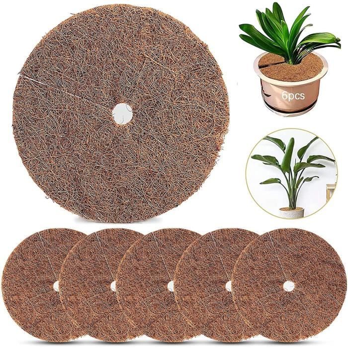 Tapis De Coco Plantes 6 Pieces Disque De Paillage Tapis De Noix De Coco Disque De Protection Plante Protection Hivernale Coco Protec Cdiscount Jardin