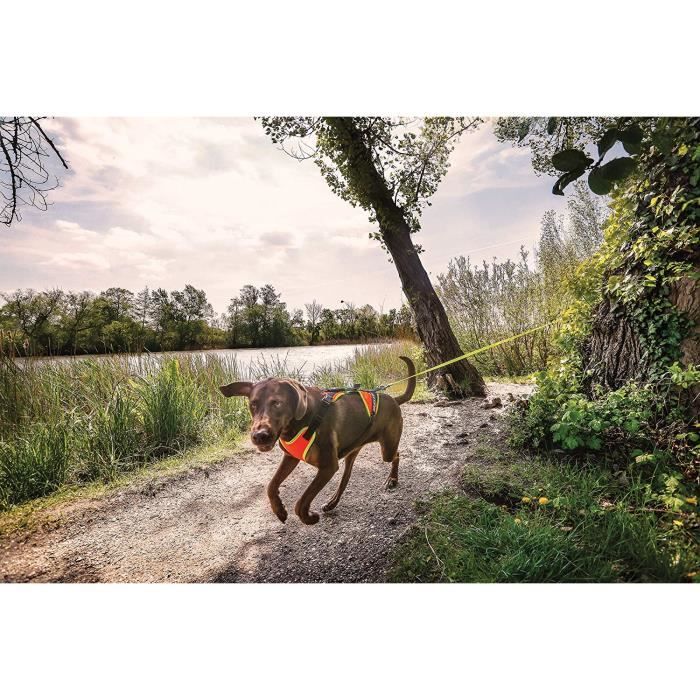 Julius K9 Mantrailing Outdoor Harnais de Pistage pour Chien Orange Fluo UV Taille L XL Cdiscount