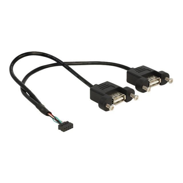 DeLOCK Câble interne USB vers externe connecteur USB 10 broches (F) pour USB (F) 25 cm noir