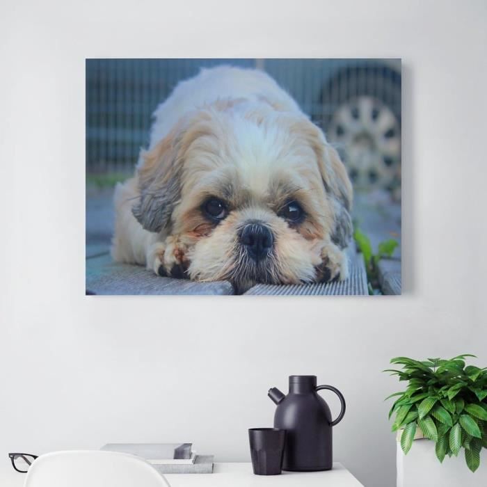 Kit 5D Diamant Peinture Noël - Chien Shih Tzu - Toile 50x60 Cm - DIY Strass - Décoration Murale