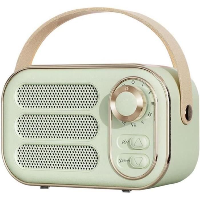 Mini Enceinte Bluetooth Favorever W06 – Design Rétro Et Radio FM, Bois Clair