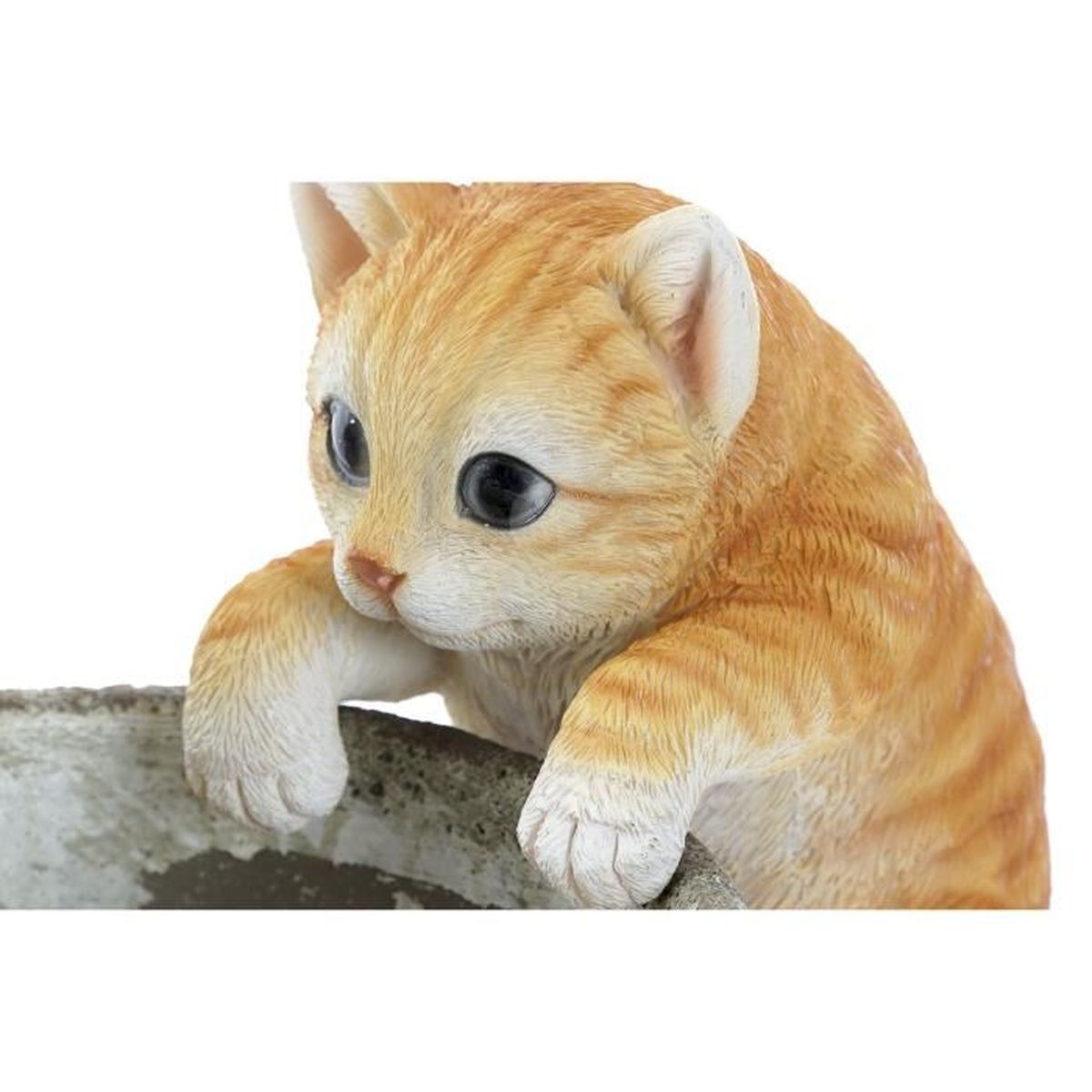 Figurine Statuette Chat Roux Animal Deco Resine Pour Rebord De Pot Jardin Jardiniere Exterieure 15 5 Cm Achat Vente Statue Statuette Figurine Statuette Chat Rou Cdiscount Figurine Statuette Chat Roux Animal Deco Resine Pour Rebord De Pot Jardin Jardiniere Exterieure 15 5 Cm Achat Vente Statue Statuette Figurine Statuette Chat Rou Cdiscount