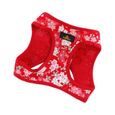 Adorable harnais pour chien à motif de fleurs de style japonais, vêtements d'été pour petits chiens, portables et légers.--S, rouge -2