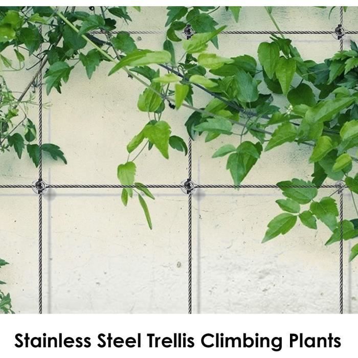 Support De Plante Grimpante, Treillis pour Plantes Grimpantes