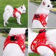 Adorable harnais pour chien à motif de fleurs de style japonais, vêtements d'été pour petits chiens, portables et légers.--S, rouge -3
