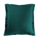 DOUCEUR D'INTERIEUR Taie d'oreiller - Emeraude - 63x63 cm - 100% coton - Lavable - Design contemporain