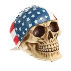 Figurine - HOMYL - Crâne en Résine - Décoration Halloween - Accessoire de Salon - Mixte