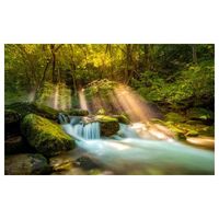 Affiche paysage cascade en forêt - 60x40cm - made in France