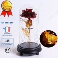 TD® Luminaire de décoration florale plantes lumière LED Fleur Rose Rouge et Feuilles d'Or Couvercle en verre 24K Socle Plastique