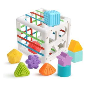 BOÎTE À FORME - GIGOGNE Jouet de Tri de Forme de Bébé - Cubes Sensoriels -