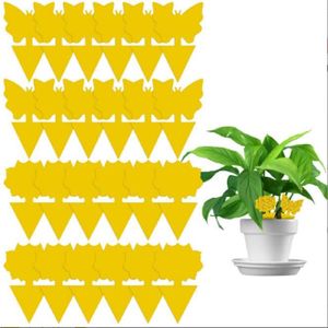 GRTHTATI 60 Pieces Anti Moucherons Interieur - Attrape Moucheron Plantes -  Piege a Moucherons Cuisine - Très Efficace et Facile à Utiliser :  : Jardin