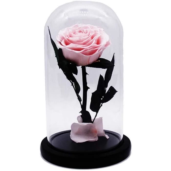 Fleurs fraches Magiques Roses Naturel Rose éternelle Verre Couvercle De Dme  Coffret Cadeau Saint Valentin Anniversaire D [1912] - Cdiscount Maison