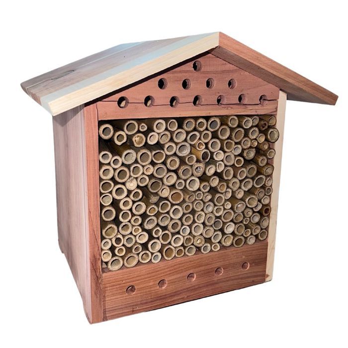 Maison des abeilles en RED CEDAR
