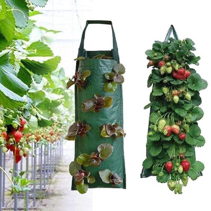 CH05393-Sacs de culture pour plantes fraises. 4 8 poches. tenture murale verticale. sacs de plantation. Pot de plantation. pommes