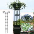 Support de plante en pot en treillis d'obélisque de jardin, cadre de tour de parapluie Vertical 210 cm de hauteur-3