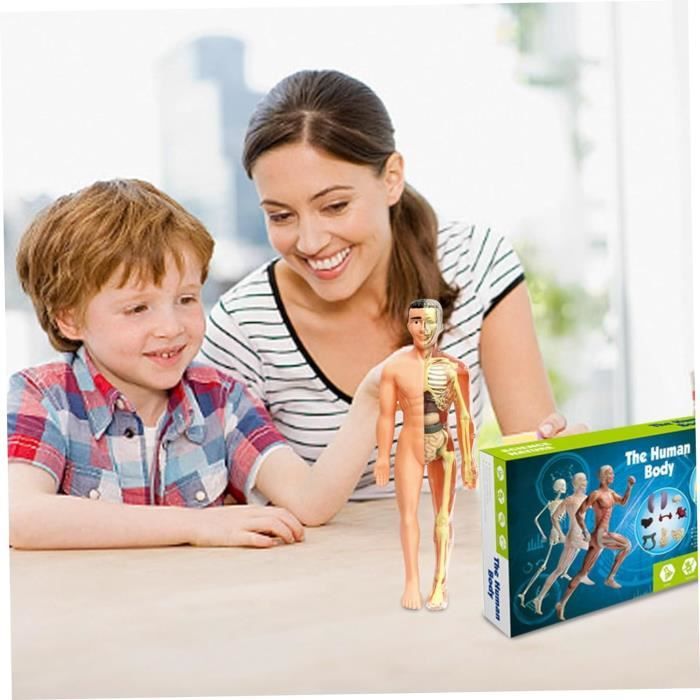 Puzzle Anatomie Humaine En Bois - Jouet éducatif Pour Enfants - Découverte Du Corps - 22,8 X 18 Cm