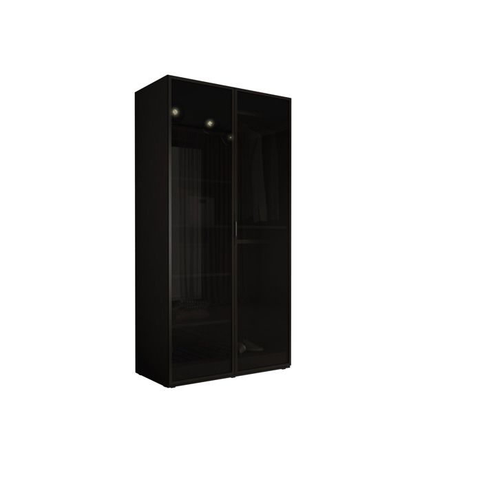 Armoire : Graphite Noir / Verre Antisol 100 x 200 x 51 cm