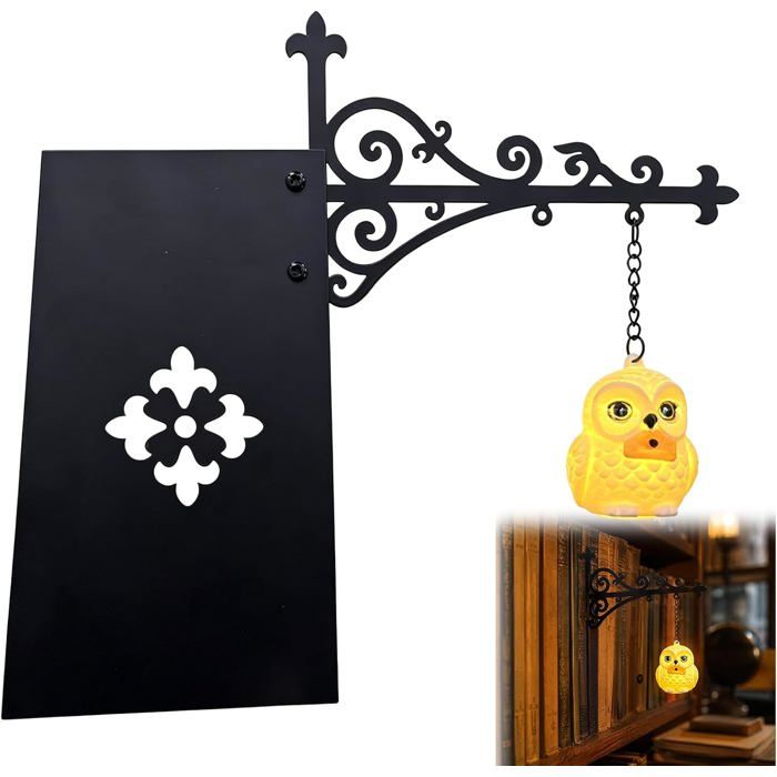 Lampe serre-livres hibou - Lanterne vintage en métal avec veilleuse LED pour bibliothèque et bureau (Bronze 1pc)