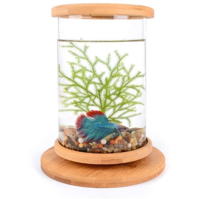 Aquarium De Bureau Betta En Acrylique Avec Lumière LED Et Filtre à 3